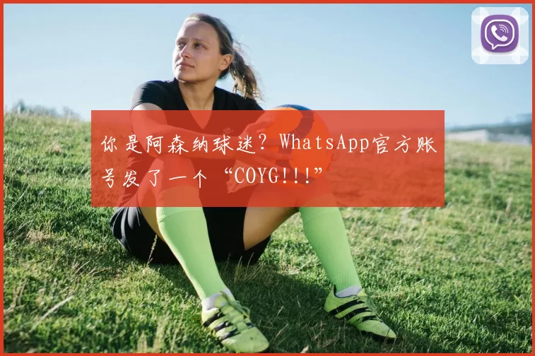 你是阿森纳球迷？WhatsApp官方账号发了一个“COYG!!!”