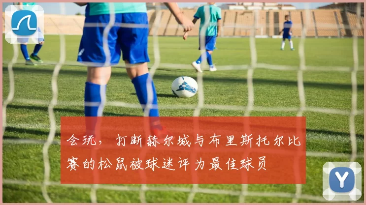 会玩,打断赫尔城与布里斯托尔比赛的松鼠被球迷评为最佳球员